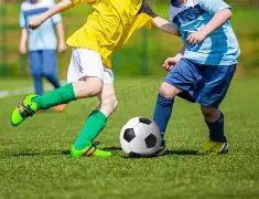 王俊凯关晓,彤等北电毕,业生学士服,亚博体彩官网,Yabo亚博体彩官网,亚博体彩官网在线娱乐平台