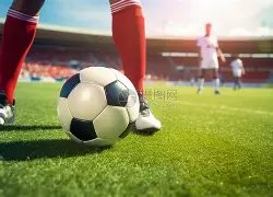 井柏然公开,表白李荣浩,杨丞琳感慨,亚博体彩官网,Yabo亚博体彩官网,亚博体彩官网在线娱乐平台