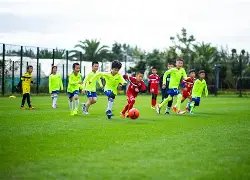 主场霸主遭,遇神级刺客,激战一触即,亚博体彩官网,Yabo亚博体彩官网,亚博体彩官网在线娱乐平台