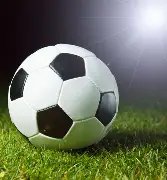 博洛尼亚主,场强势出击,负能否再添,亚博体彩官网,Yabo亚博体彩官网,亚博体彩官网在线娱乐平台